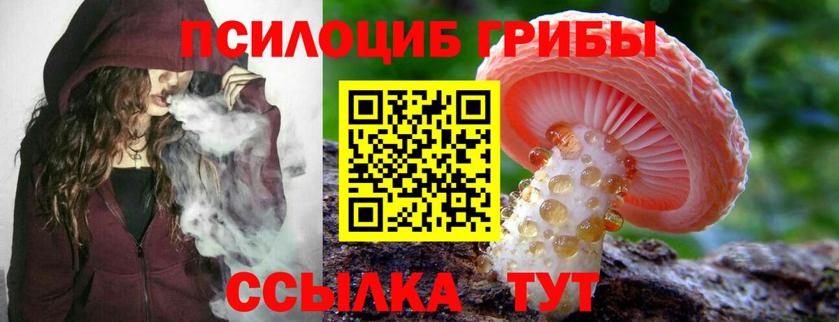 Псилоцибиновые грибы MAGIC MUSHROOMS  Вход с VPN  Галлюциногенные грибы Cubensis  Тейково 